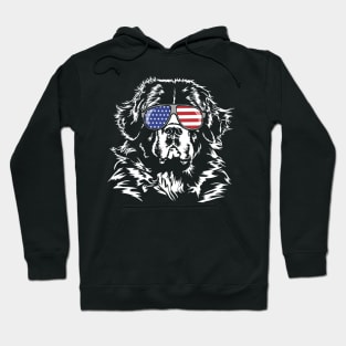 Proud Newfoundland American Flag sunglasses dog Hoodie